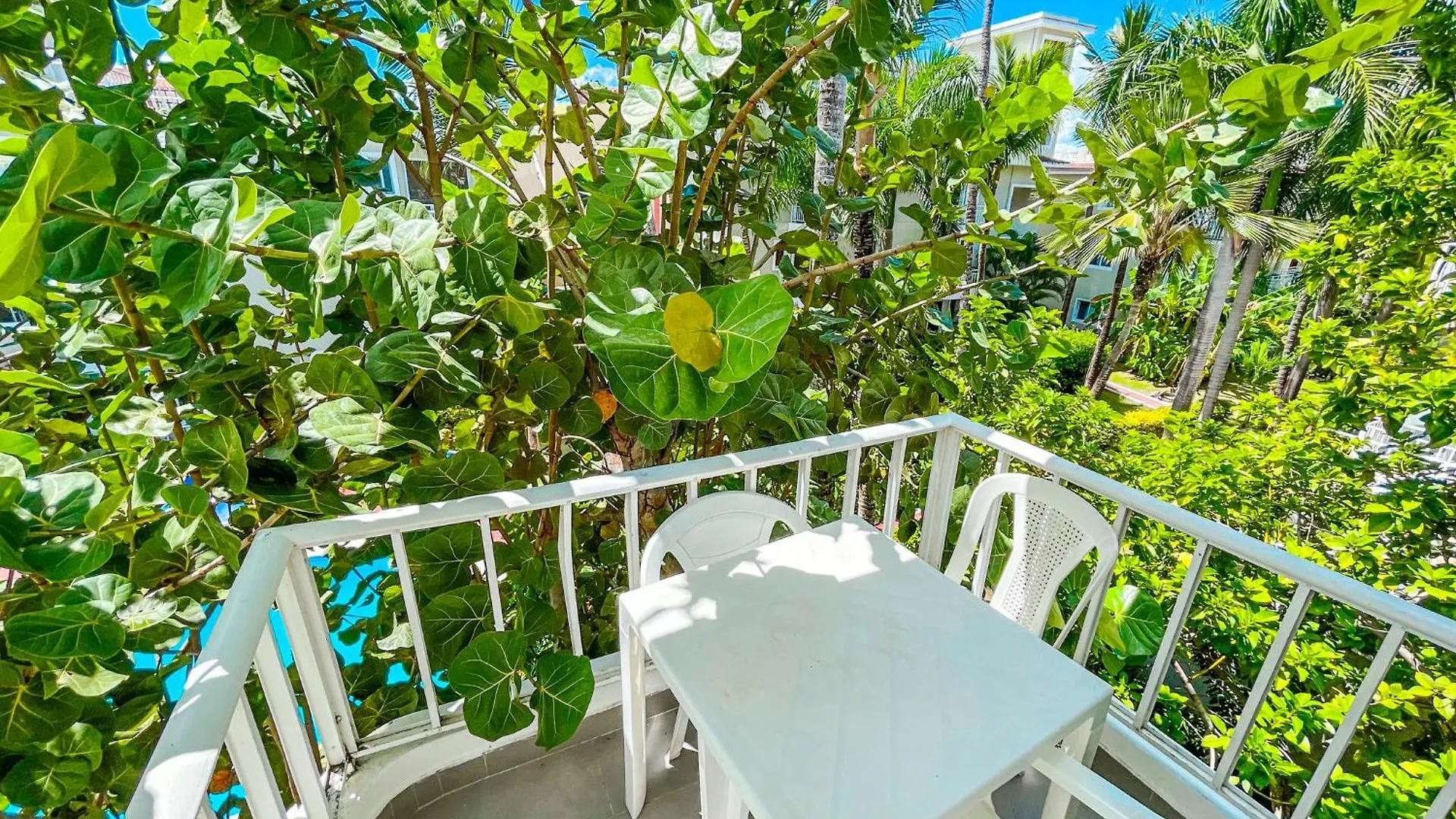 ***** Hotel Tropical Adventures Sol Caribes Del Mar Studios Suites Wifi Bavaro Beach & Pool Punta Cana Dominican Republic